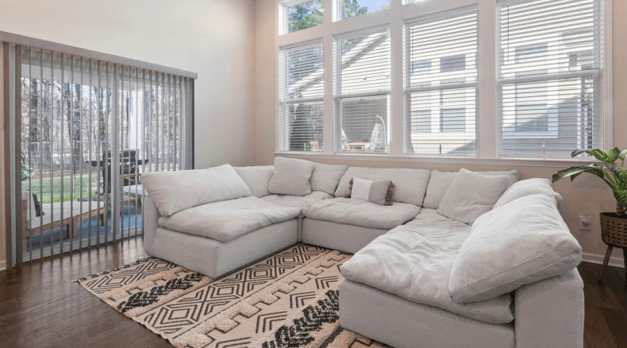 removing a couch in Tampa, FL