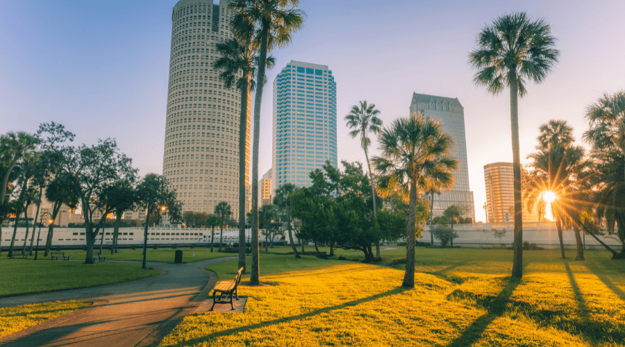 junk removal in Tampa, FL
